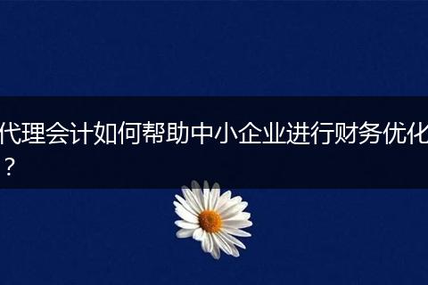 代理会计如何帮助中小企业进行财务优化?