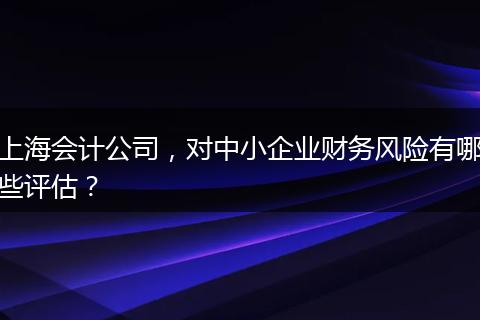 上海会计公司，对中小企业财务风险有哪些评估？