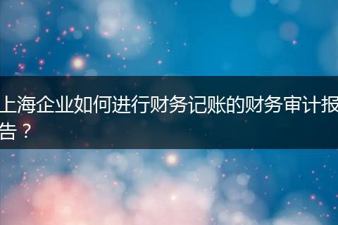 上海企业如何进行财务记账的财务审计报告?