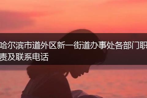 哈尔滨市道外区新一街道办事处各部门职责及联系电话