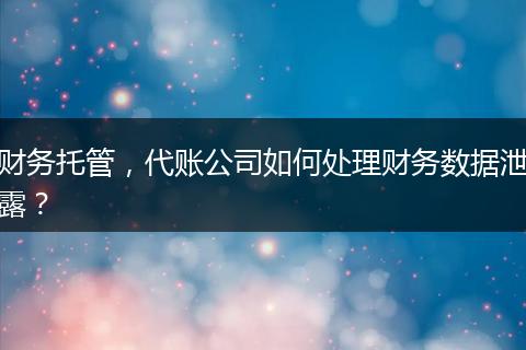 财务托管,代账公司如何处理财务数据泄露?