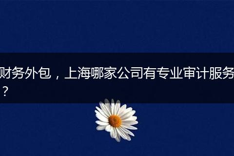 财务外包，上海哪家公司有专业审计服务？