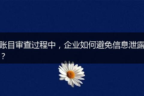 账目审查过程中,企业如何避免信息泄露?