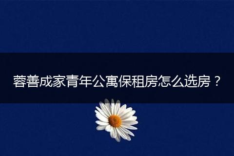 蓉善成家青年公寓保租房怎么选房？