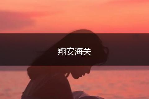翔安海关