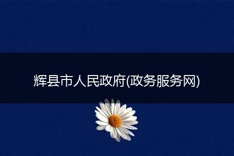 辉县市人民政府(政务服务网)