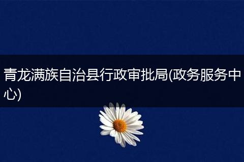 青龙满族自治县行政审批局(政务服务中心)