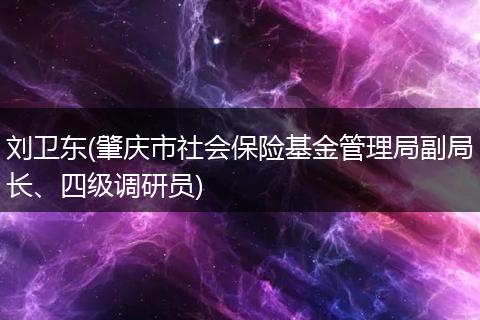 刘卫东(肇庆市社会保险基金管理局副局长、四级调研员)