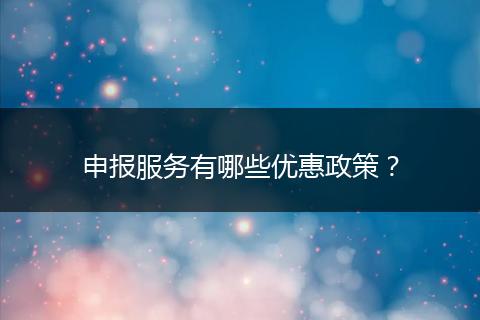 申报服务有哪些优惠政策?