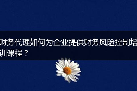 财务代理如何为企业提供财务风险控制培训课程？