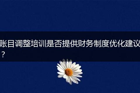 账目调整培训是否提供财务制度优化建议？