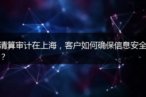 清算审计在上海，客户如何确保信息安全？