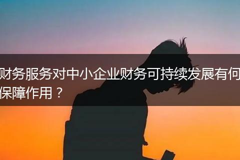 财务服务对中小企业财务可持续发展有何保障作用?