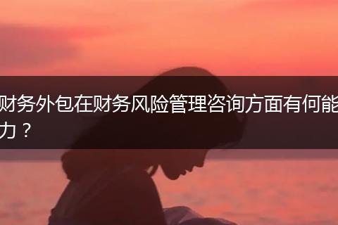 财务外包在财务风险管理咨询方面有何能力？