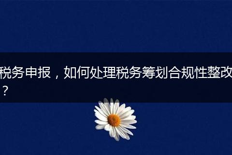 税务申报,如何处理税务筹划合规性整改?