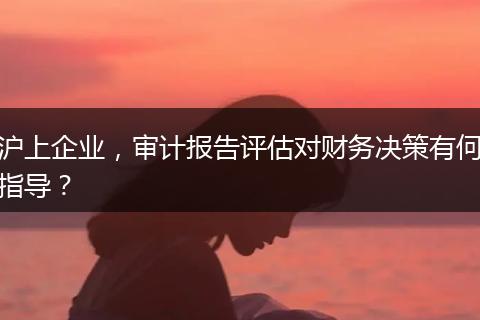 沪上企业,审计报告评估对财务决策有何指导?