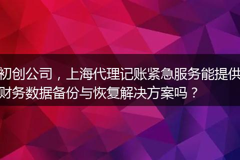初创公司,上海代理记账紧急服务能提供财务数据备份与恢复解决方案吗?
