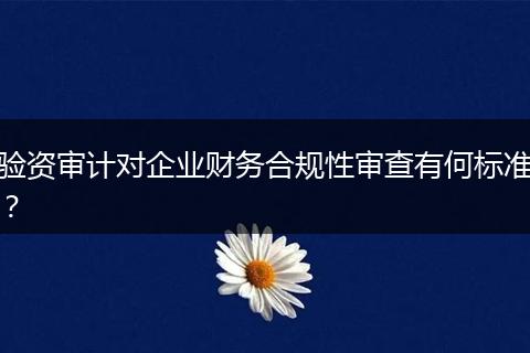 验资审计对企业财务合规性审查有何标准?