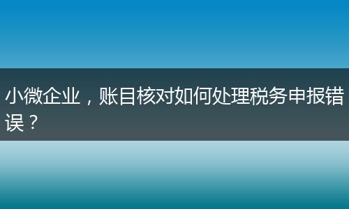小微企业,账目核对如何处理税务申报错误?