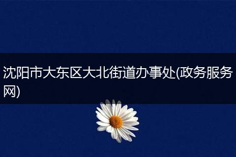 沈阳市大东区大北街道办事处(政务服务网)