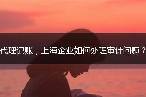 代理记账，上海企业如何处理审计问题？