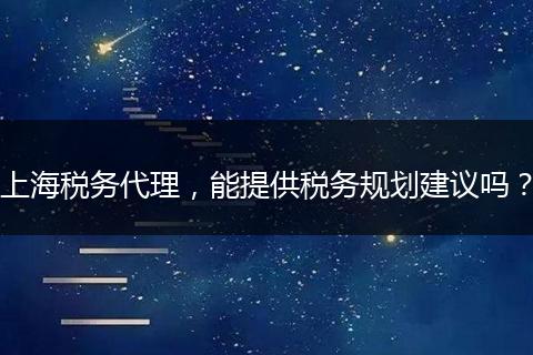 上海税务代理,能提供税务规划建议吗?