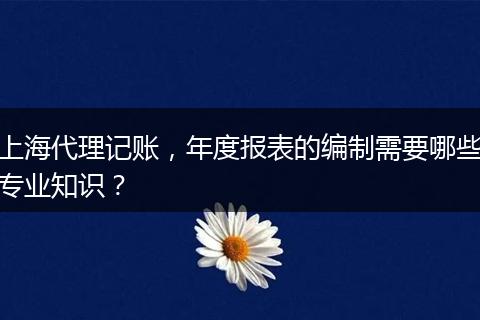 上海代理记账,年度报表的编制需要哪些专业知识?