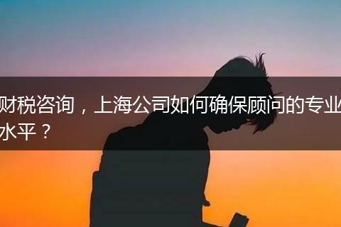 财税咨询,上海公司如何确保顾问的专业水平?