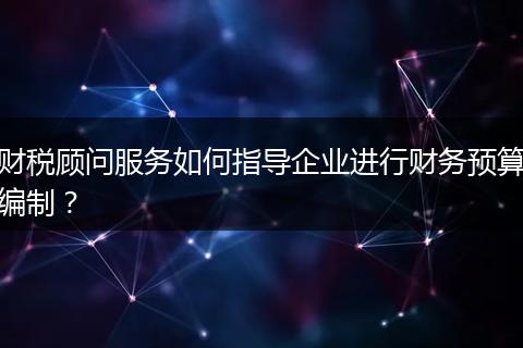 财税顾问服务如何指导企业进行财务预算编制？