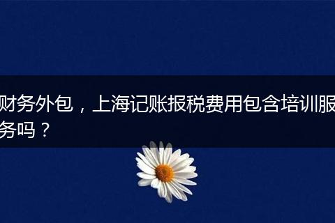 财务外包，上海记账报税费用包含培训服务吗？