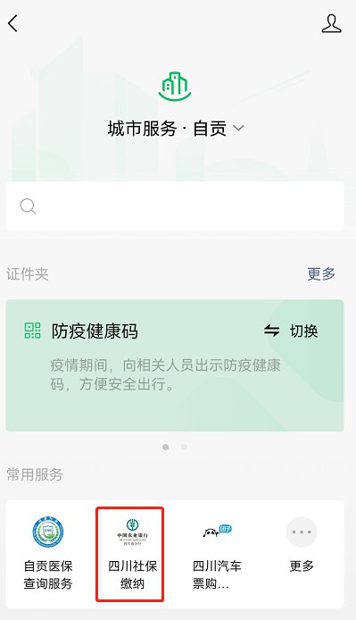 2022自贡居民医保网上缴费方式