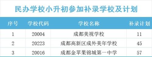 2024年成都高新区民办学校小升初参加补录学校及计划