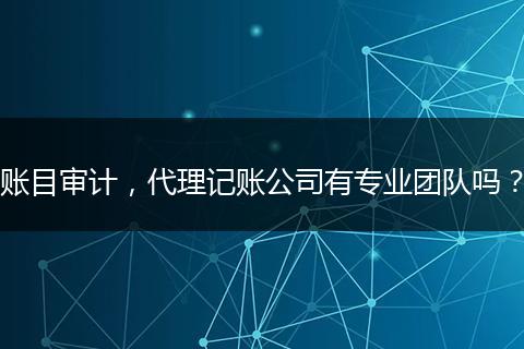 账目审计,代理记账公司有专业团队吗?
