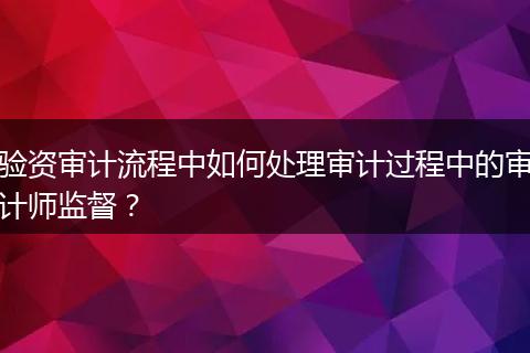验资审计流程中如何处理审计过程中的审计师监督？