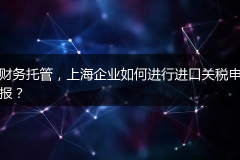 财务托管，上海企业如何进行进口关税申报？