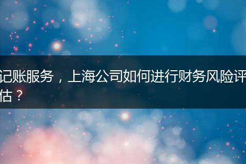 记账服务，上海公司如何进行财务风险评估？