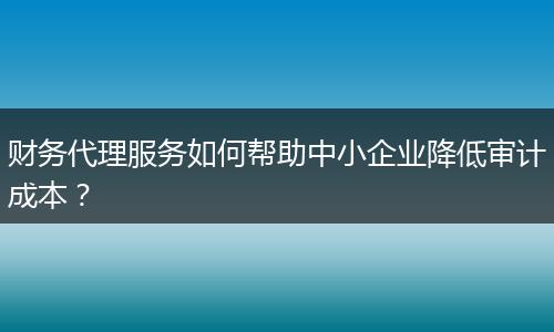 财务代理服务如何帮助中小企业降低审计成本？