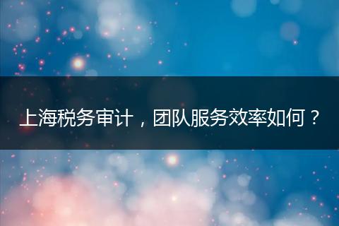 上海税务审计，团队服务效率如何？