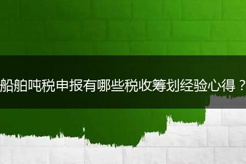 船舶吨税申报有哪些税收筹划经验心得？