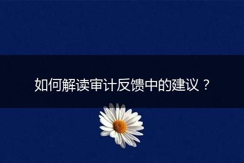如何解读审计反馈中的建议?