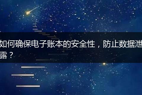 如何确保电子账本的安全性,防止数据泄露?