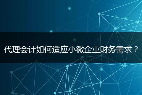 代理会计如何适应小微企业财务需求?
