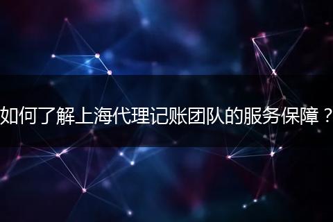如何了解上海代理记账团队的服务保障?