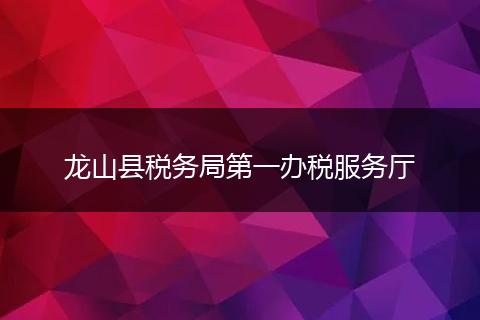 龙山县税务局第一办税服务厅
