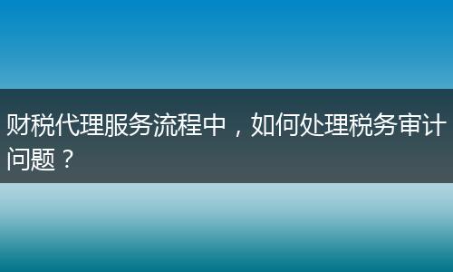 财税代理服务流程中,如何处理税务审计问题?