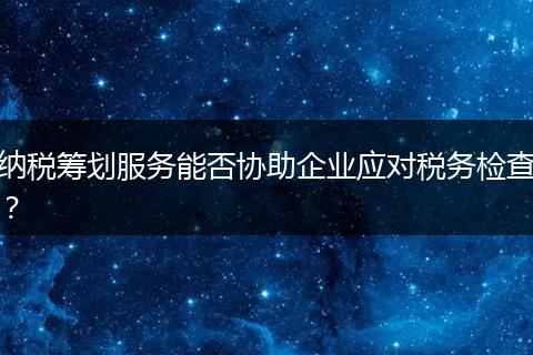 纳税筹划服务能否协助企业应对税务检查?