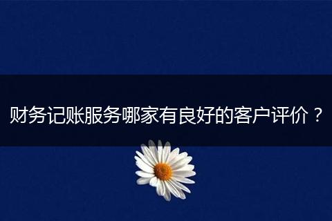 财务记账服务哪家有良好的客户评价?