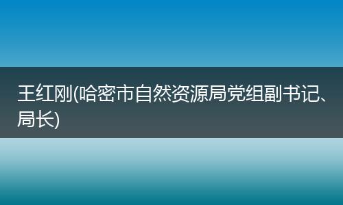 王红刚(哈密市自然资源局党组副书记、局长)