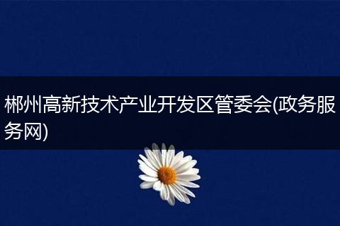 郴州高新技术产业开发区管委会(政务服务网)