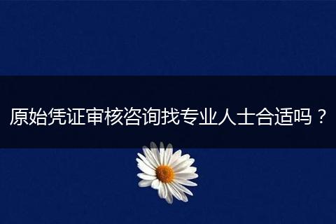 原始凭证审核咨询找专业人士合适吗?